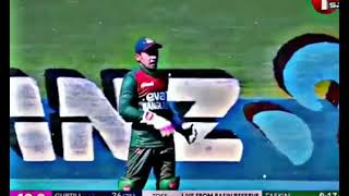 Taskin Ahmed bowling vs New Zealand [upl. by Nerraj527]