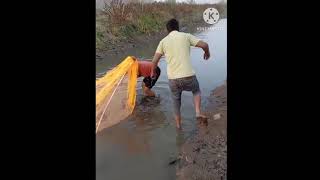 fish funny vlogs Saudi Arabia bisha automobile cricket [upl. by Ahsehyt442]