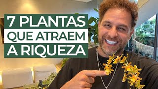 7 PLANTAS QUE ATRAEM A RIQUEZA  Daniel Atalla [upl. by Ninerb]