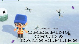 Shamlyn Is Looking For Creeping Crud amp Damselflies [upl. by Adahsar408]