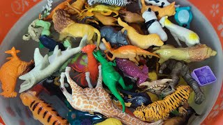 Animal toys  wild animal toys  zoo animals figure  plastic animals [upl. by Dunham]