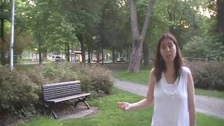 ACIM  La Perception dInnocence Vidéo dans le parc  Partie 22  Julie Morin Solari Harmonia [upl. by Atirrehs]