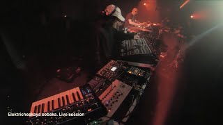 Elektricheskaya Sobaka Live [upl. by Atiugal]