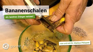 Bananenschalen als leichten Dünger nutzen  gardify Tipps [upl. by Balbinder861]