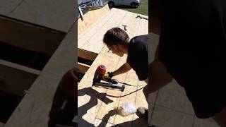 Installing the roof sheathing shedhouse tinyhouse [upl. by Atelahs]