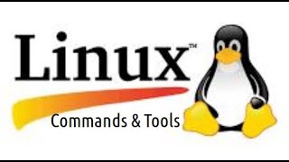 Commands amp Tools Linux 004 How use command df get information about disk partition in your computer [upl. by Yhtak560]