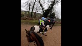 A compilation video from the 20km Pleasure ride at Wentwood forest horseriding [upl. by Carole]