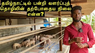 1 What is the current status of pig farming industry in Tamil Nadu [upl. by Barling]