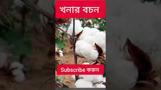 khonar bochon  খনার বচন  khonar bochon in bengali  খনার বচন বাংলা motivation [upl. by Briney]