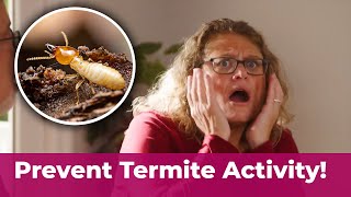 Prevent Termite damage by calling the experts at Killingsworth Environmental [upl. by Avalsorim]