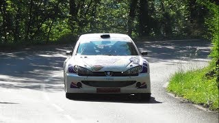 Rallye de la Croisette 2017 HD [upl. by Ximenez651]