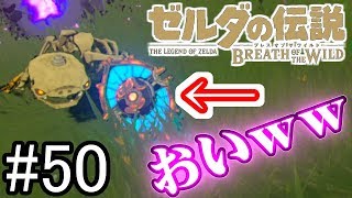 【BotWのんびり編】ん？俺の装備がないぞ？ってお前かああ！！！【ゼルダの伝説 ブレスオブザワイルド】 [upl. by Chrissie]