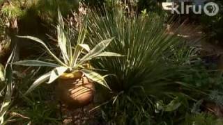 Leah amp Philip Leveridge East Side Patch garden designCentral Texas Gardener [upl. by Vassily]