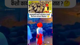 बाळूमामां आजंहि आहे कां  Balumama song  Balu mama chi gani youtubeshorts viralshorts [upl. by Marion35]