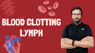 Blood Clotting and lymph [upl. by Eidahs]