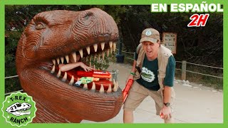 Museo de dinosaurios 🏛️🦖  Videos de dinosaurios y juguetes para niños [upl. by Masuh]