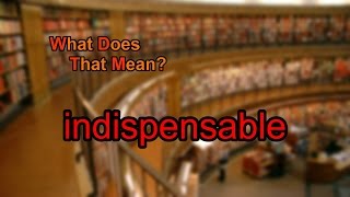 What does indispensable mean [upl. by Canter11]