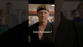 Cobra Kai season 1 [upl. by Harp912]