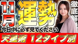 【星ひとみ】2024年11月の運勢を徹底解説！天星術占い12タイプ別！ [upl. by Gusta]