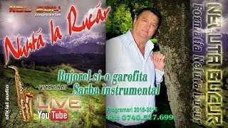 NELUTA BUCUR  Bujorel sio garofita  Sarba instrumental live 2014 [upl. by Ayhtnic757]