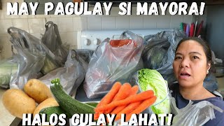 BUHAY AMERIKA NAGPAGULAY SI MAYORA ANG DAMING PA GROCERY [upl. by Clarance494]