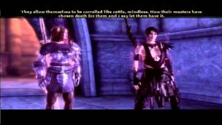 Dragon Age Origins  26 Circle Tower Human Noble [upl. by Tranquada376]