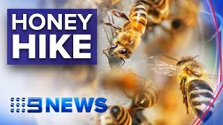 Why Australian honey is set for a price hike  Nine News Australia [upl. by Rhetta771]