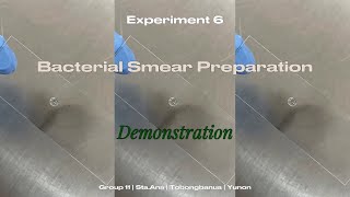 Bacterial Smear Preparation Demonstration [upl. by Aridaj]