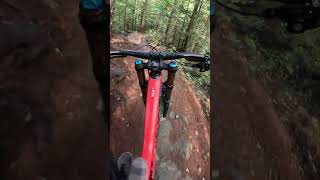 Angry Pirate Lower at Whistler Bike Park [upl. by Benson]