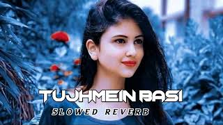 Tujhmein Basi New Song 2024  SlowedReverb New Hindi Song [upl. by Cher497]