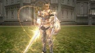 Lineage 2 Interlude Olympiad Games ShooterInside Pheonix Knight Paladin GoldWorldsu [upl. by Franklin685]