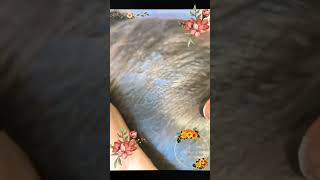 ASMR LICE REMOVE lice hairstyle liceremoval hairlice hair nomorelice haircut satisfying [upl. by Darrey854]