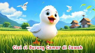 CICI SI BURUNG CAMAR DI SAWAH ANIMASI [upl. by Meta]