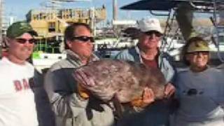 Rocky Point Fishing Pinto Bass JUST ADD SALTWATER [upl. by Fair]