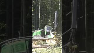 Trees Cutting Machine tree shorts [upl. by Eirelam]