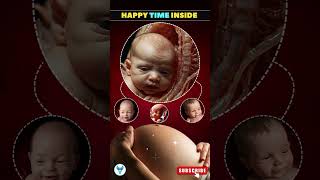 Happy Baby Time in the Womb Week by Week Fetal Development shortsfeed baby fetus [upl. by Messab]