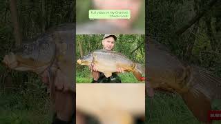 24LBFrimley Pit2 Mirror Carp carpangler carpfishing fishingnature outdoors [upl. by Ecnahoy]