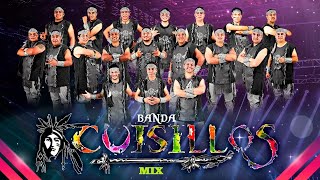 Banda Cuisillos  Puras Cumbias musicamexicana musicabanda [upl. by Ellertnom]