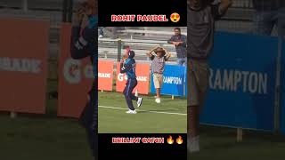 Rohit Paudel Brilliant catch in GT20 Canada 😍🔥🔥 rohitpaudel globalt20canada [upl. by Annig]