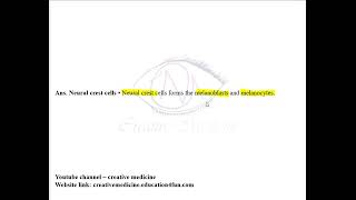 Derivatives of Ectoderm and Endoderm MCQ mp4 [upl. by Downing817]