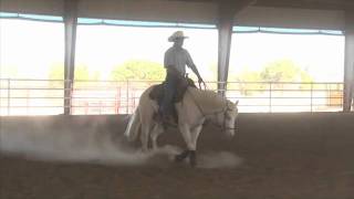 Big Chex To Shine  Reining Horse For Sale [upl. by Eioj]