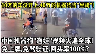 10万元的車還沒開上，40萬的機器狗已經當“坐騎”了？中國機器狗“遛娃”視頻火遍全球！免上牌，免駕駛證，回頭率100？ [upl. by Aicre161]