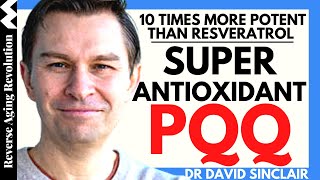 SUPER Antioxidant PQQ 10 TIMES More POTENT Than Resveratrol  Dr David Sinclair Interview Clips [upl. by Esnahc257]