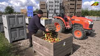 Apfelernte Altes Land Obstanbaubetrieb Bio Obsthof Münch biologische Landwirtschaft  Traktor Kubota [upl. by Eilyw92]