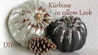 DIY  Kürbisse in edlem Look  schöne Herbstdeko  Just Deko [upl. by Atived]