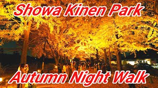 Magical Night Walk at Showa Kinen Park 🌌  Tokyos Enchanting Light Show ✨ Tokyo Japan Travel [upl. by Idnahr]