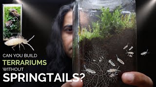 Can you build closed terrariums without springtails [upl. by Collen29]