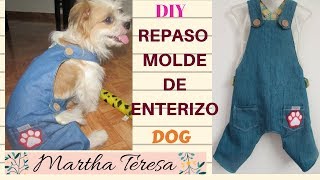 Repaso de MoldeEnterizos Para PerritosDIY [upl. by Kung]