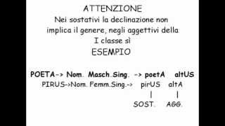 Gli aggettivi della prima classe  lezioni di latino Tubedocet [upl. by Uolymme295]