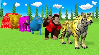 Long Slide Game With Elephant Cow Buffalo Gorilla Hippopotamus Kong Tiger Lion Funny 3d Animal Game [upl. by Roath332]